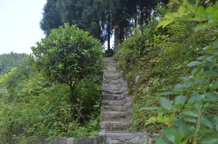 山庄美景